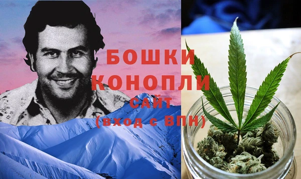 гидропоника Богданович