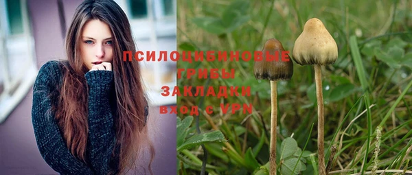 mdma Богородицк