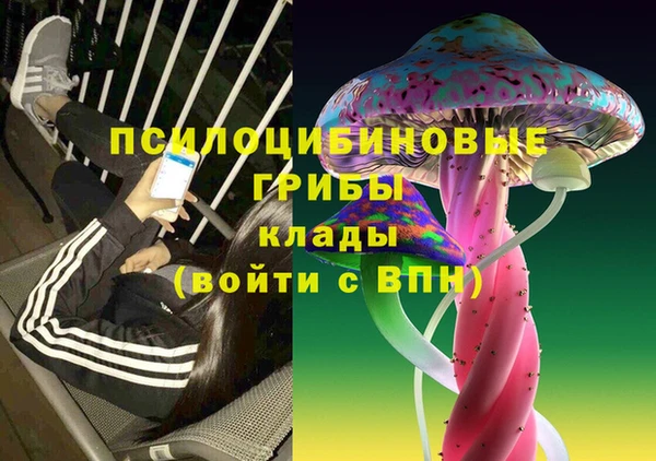 дурь Богородск