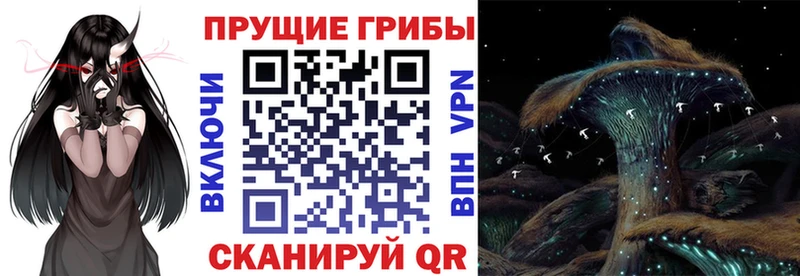Галлюциногенные грибы Magic Shrooms  Купить где  Можга 